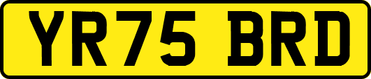 YR75BRD