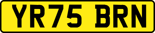 YR75BRN