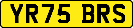 YR75BRS