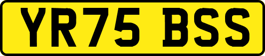 YR75BSS