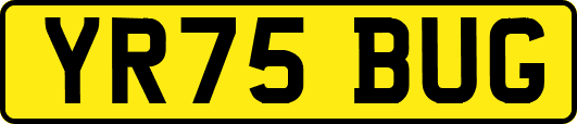 YR75BUG