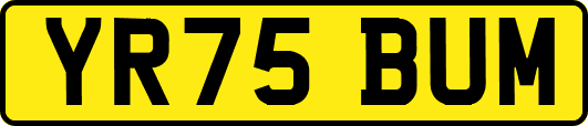 YR75BUM