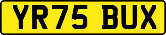 YR75BUX