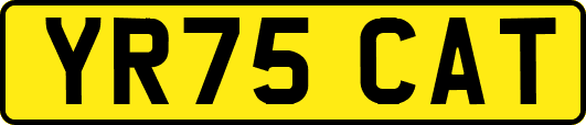 YR75CAT