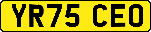 YR75CEO