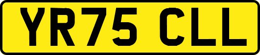 YR75CLL