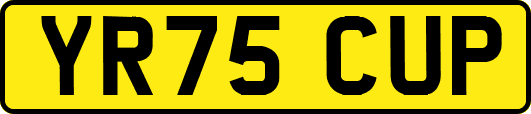 YR75CUP