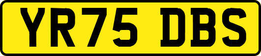 YR75DBS