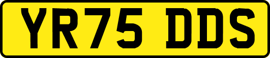 YR75DDS