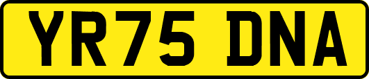 YR75DNA
