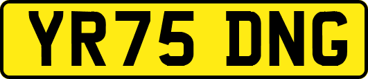 YR75DNG