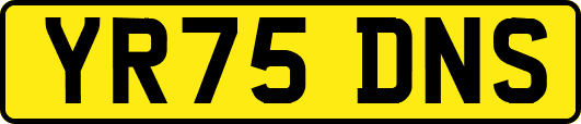 YR75DNS