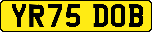 YR75DOB