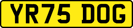 YR75DOG