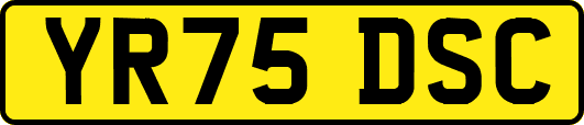 YR75DSC