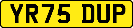 YR75DUP