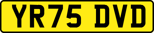 YR75DVD