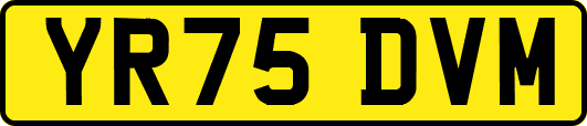 YR75DVM