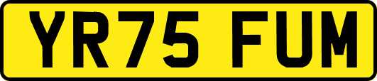 YR75FUM