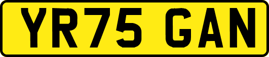 YR75GAN