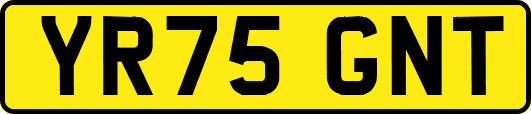YR75GNT