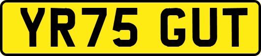 YR75GUT