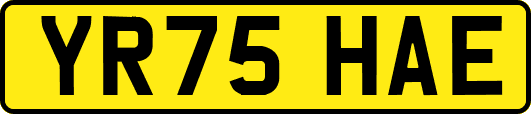 YR75HAE