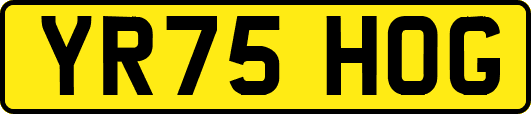 YR75HOG