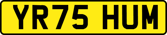 YR75HUM