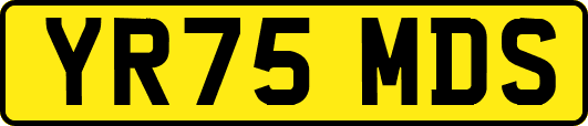YR75MDS