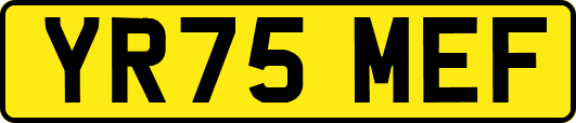 YR75MEF