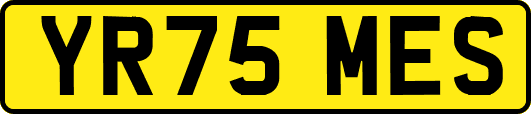 YR75MES