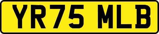 YR75MLB