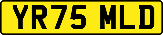 YR75MLD