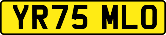 YR75MLO