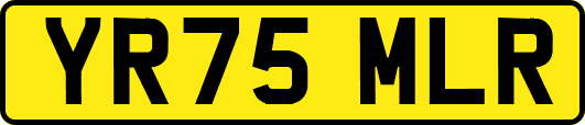 YR75MLR