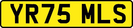 YR75MLS