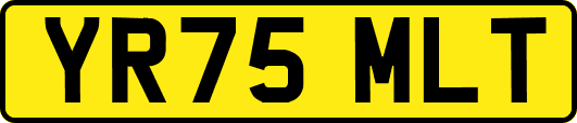 YR75MLT