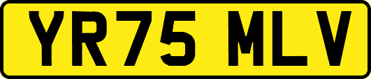 YR75MLV