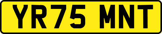 YR75MNT