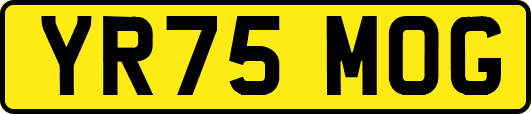 YR75MOG