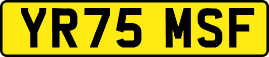 YR75MSF