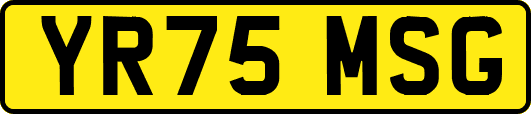 YR75MSG