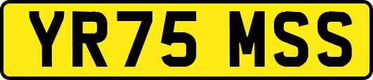 YR75MSS