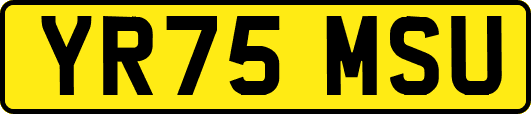 YR75MSU