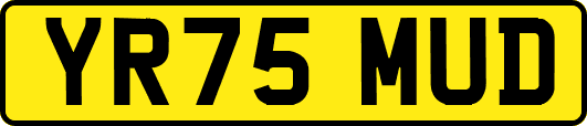 YR75MUD
