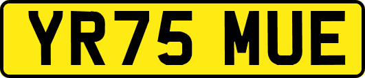 YR75MUE