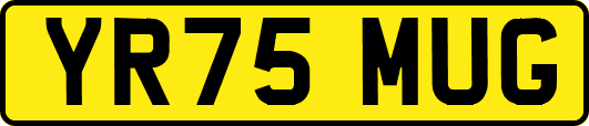YR75MUG