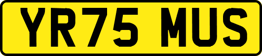 YR75MUS