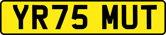 YR75MUT